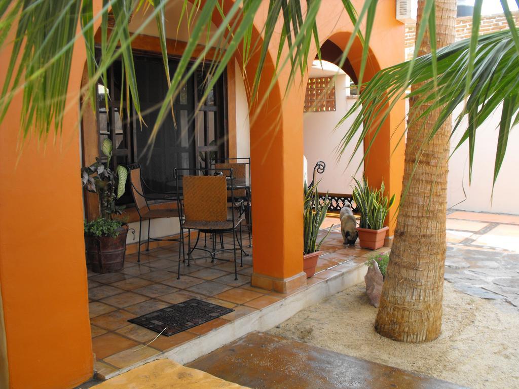Leo'S Baja Oasis Hotel La Paz Værelse billede